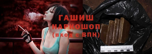 индика Верея