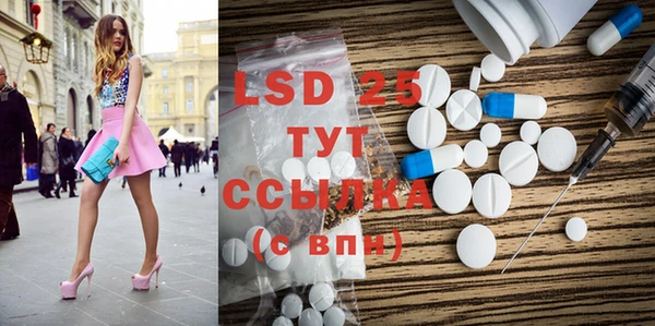 индика Верея