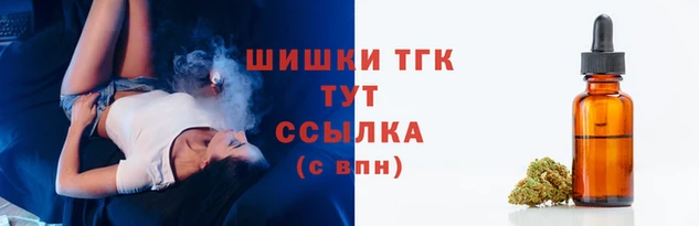 индика Верея