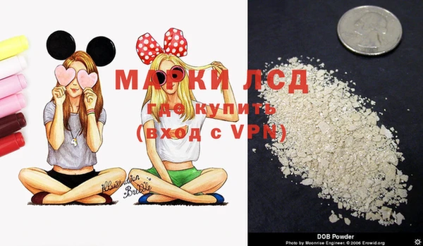 индика Верея
